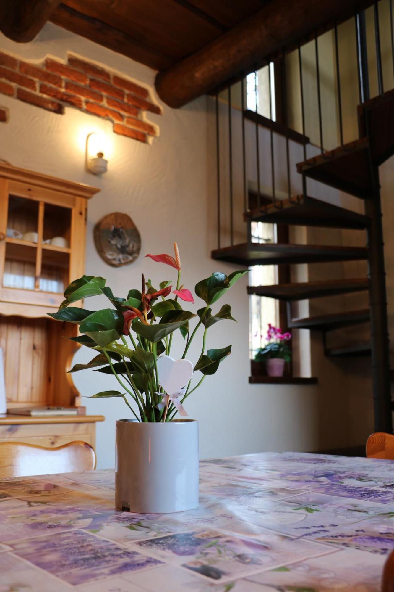 Casa Vacanze Le Primule Peveragno Экстерьер фото