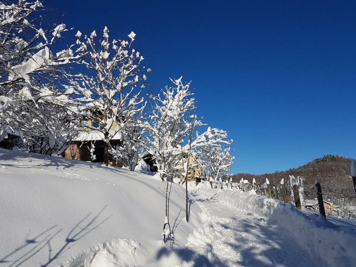 Casa Vacanze Le Primule Peveragno Экстерьер фото
