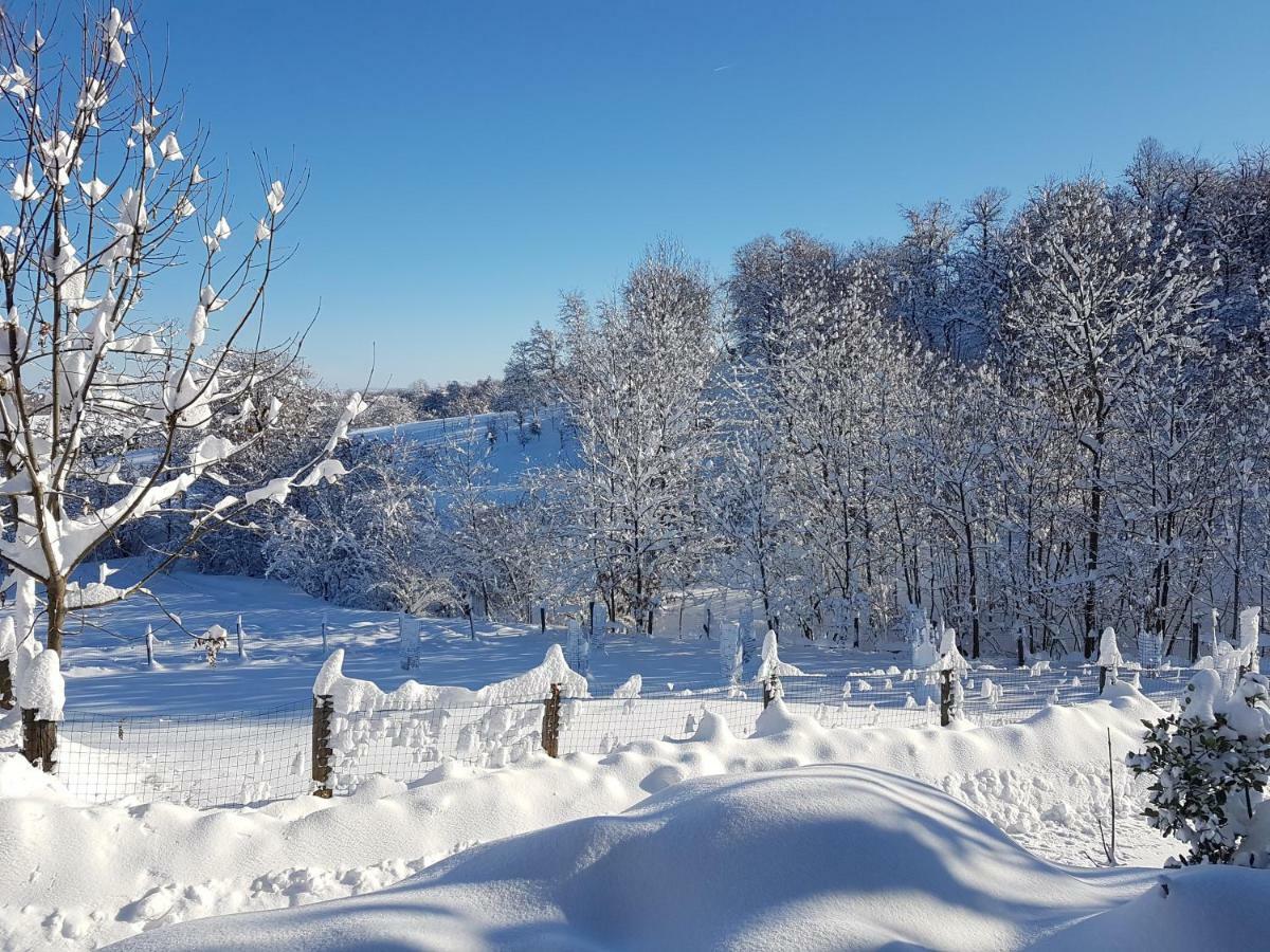 Casa Vacanze Le Primule Peveragno Экстерьер фото
