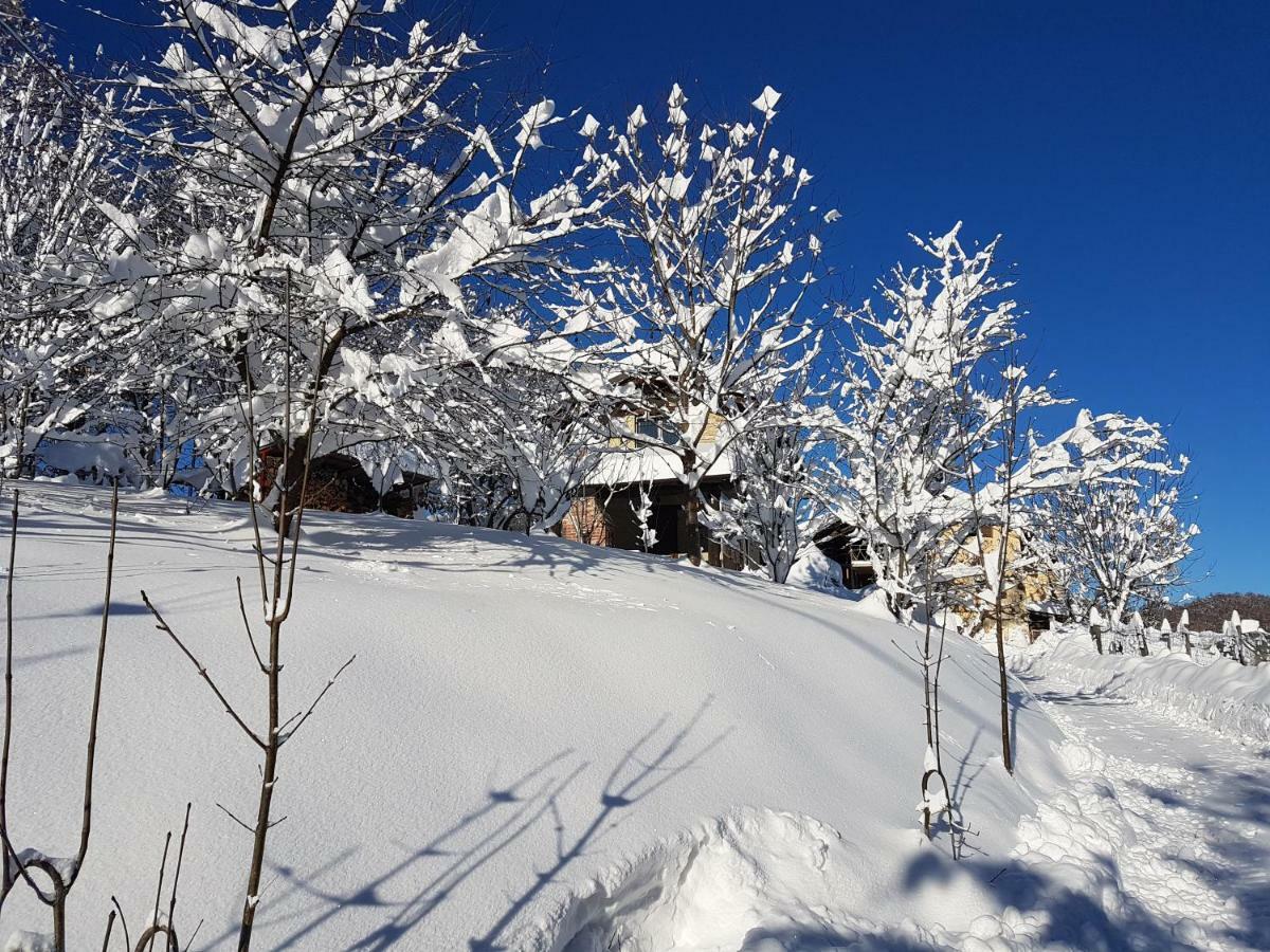 Casa Vacanze Le Primule Peveragno Экстерьер фото